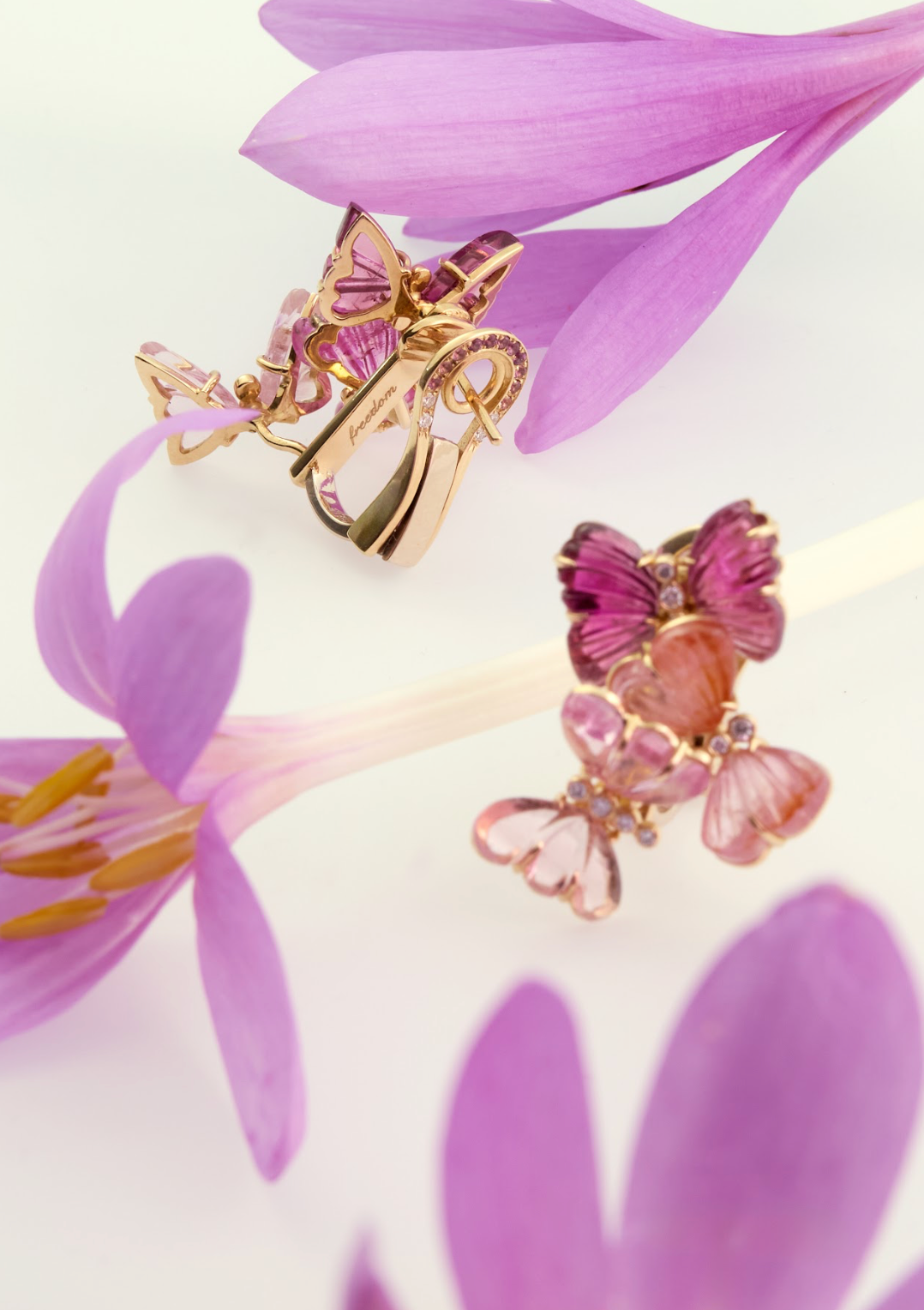 Fly with your freedom