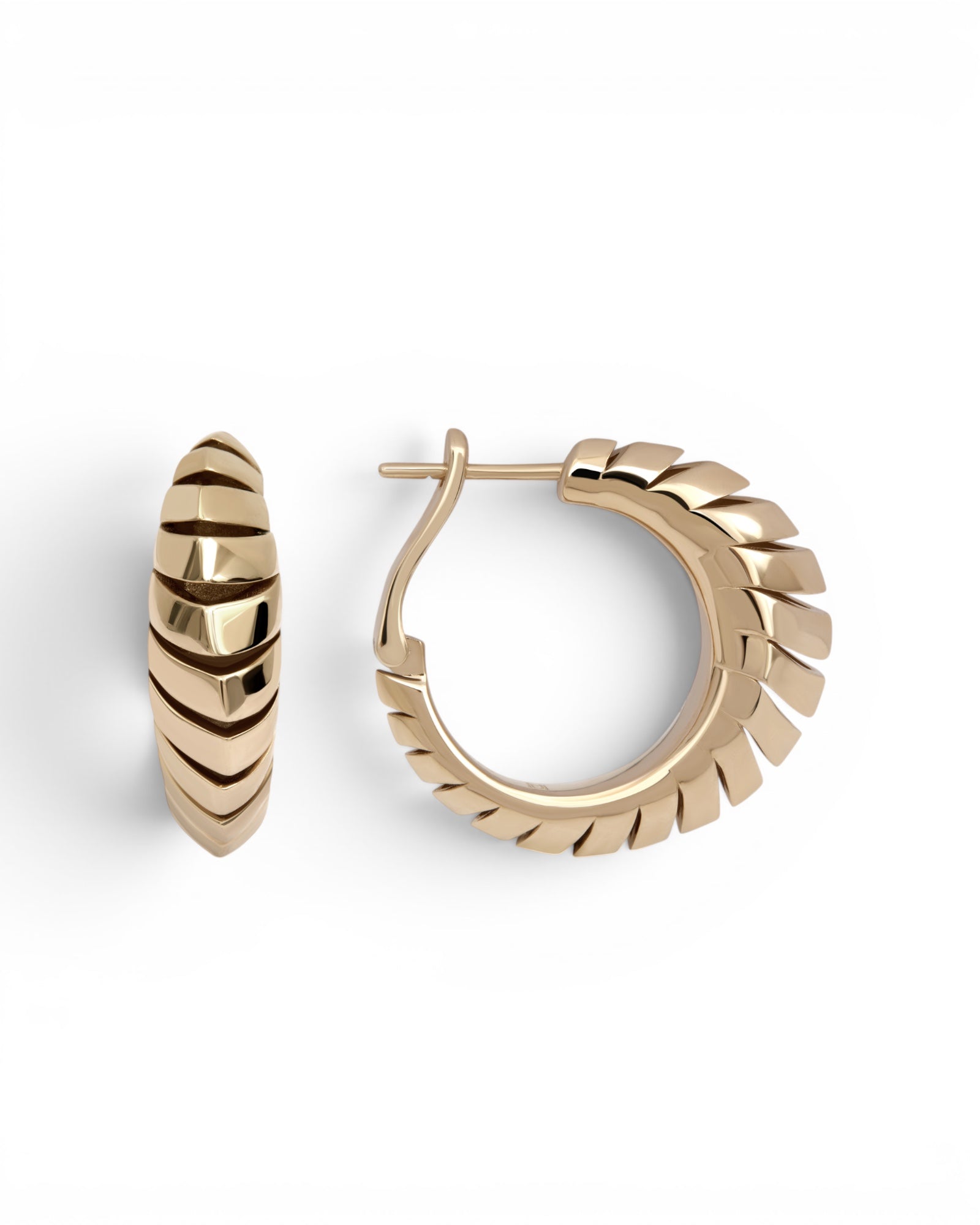 Equation Earrings, Hoops